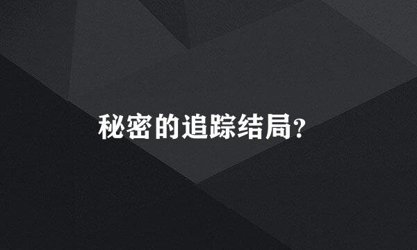 秘密的追踪结局？