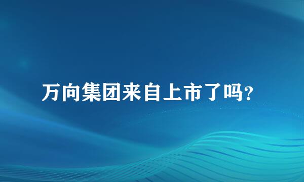 万向集团来自上市了吗？