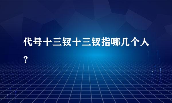 代号十三钗十三钗指哪几个人？