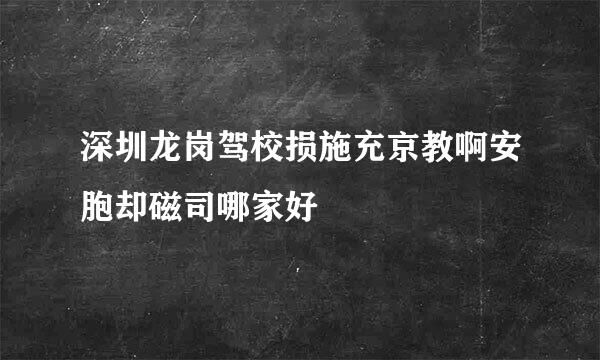 深圳龙岗驾校损施充京教啊安胞却磁司哪家好