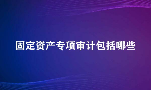 固定资产专项审计包括哪些