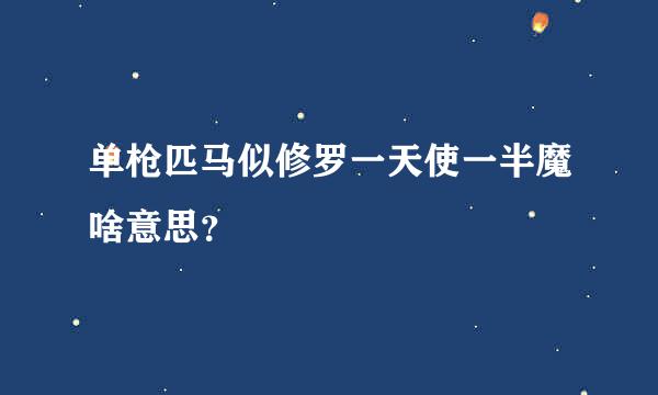 单枪匹马似修罗一天使一半魔啥意思？