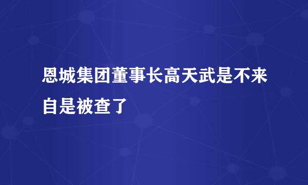 恩城集团董事长高天武是不来自是被查了