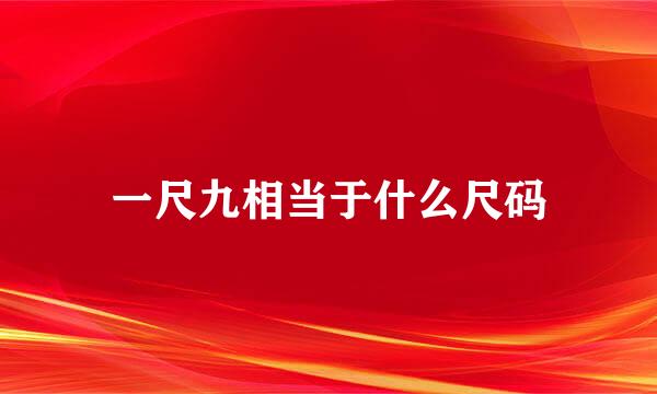 一尺九相当于什么尺码