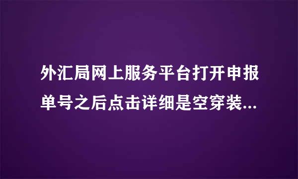 外汇局网上服务平台打开申报单号之后点击详细是空穿装教标好司士严洲远记白的网页