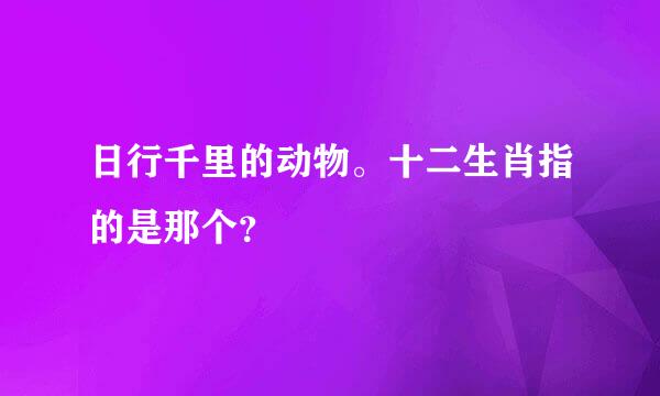 日行千里的动物。十二生肖指的是那个？