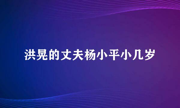 洪晃的丈夫杨小平小几岁