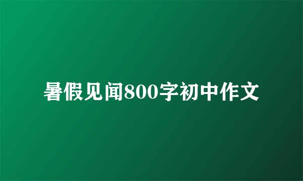 暑假见闻800字初中作文