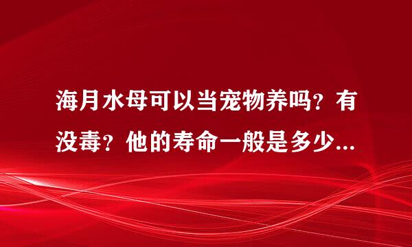 海月水母可以当宠物养吗？有没毒？他的寿命一般是多少？吃什么的？