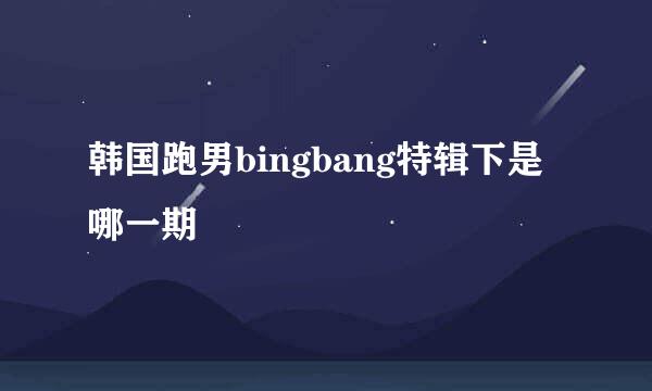 韩国跑男bingbang特辑下是哪一期