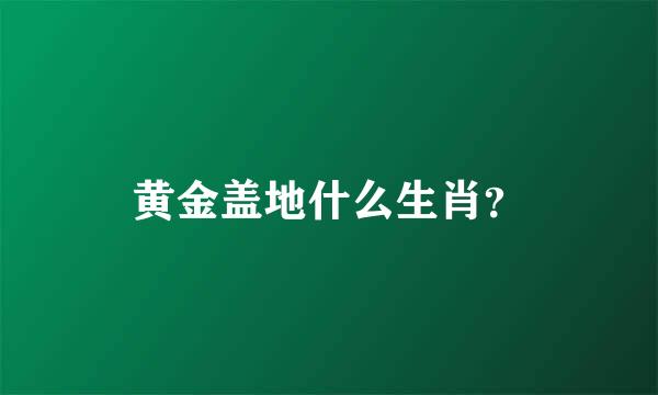 黄金盖地什么生肖？