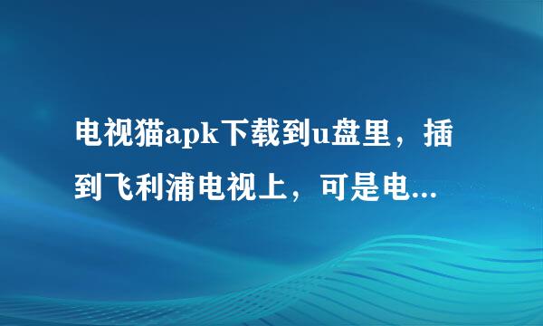 电视猫apk下载到u盘里，插到飞利浦电视上，可是电视上找不到这个软件