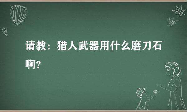 请教：猎人武器用什么磨刀石啊？