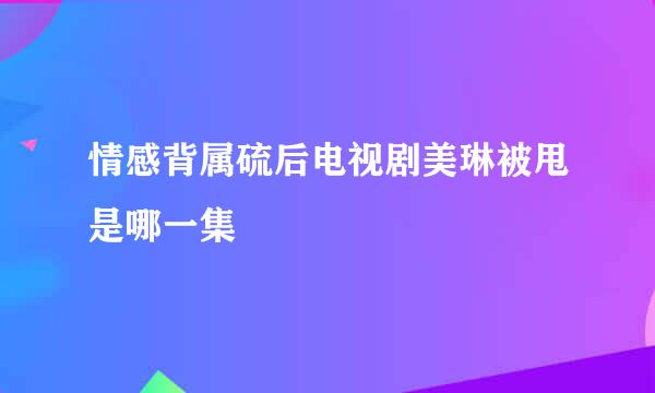 情感背属硫后电视剧美琳被甩是哪一集