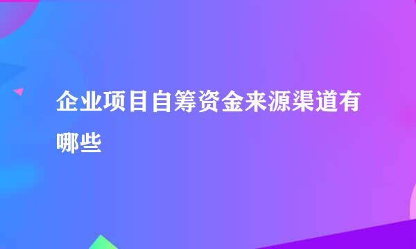 企业项目自筹资金来源渠道有哪些