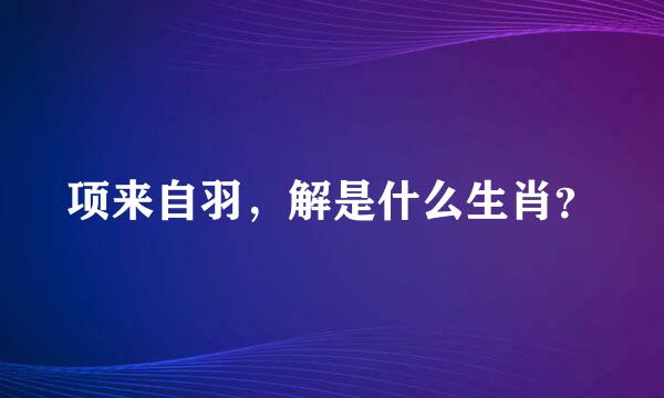 项来自羽，解是什么生肖？