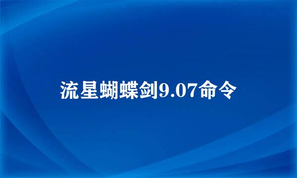 流星蝴蝶剑9.07命令