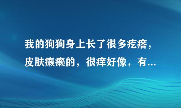 我的狗狗身上长了很多疙瘩，皮肤癞癞的，很痒好像，有什么解决办法吗