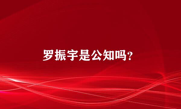 罗振宇是公知吗？