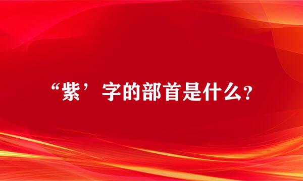 “紫’字的部首是什么？