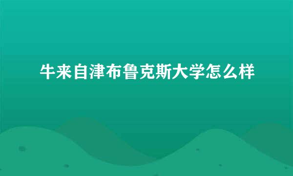 牛来自津布鲁克斯大学怎么样