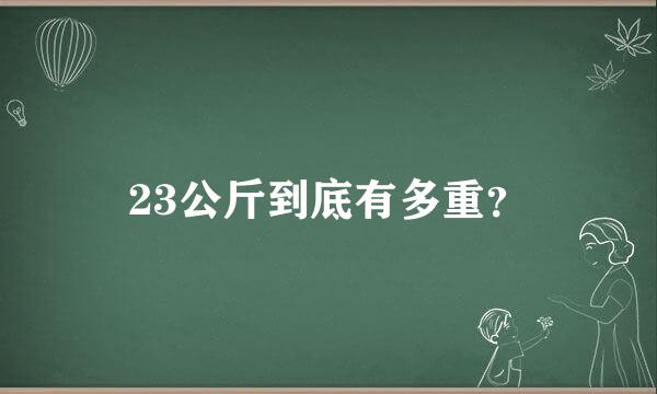 23公斤到底有多重？