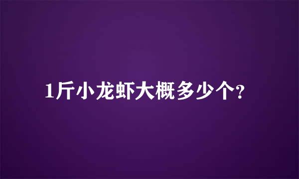 1斤小龙虾大概多少个？