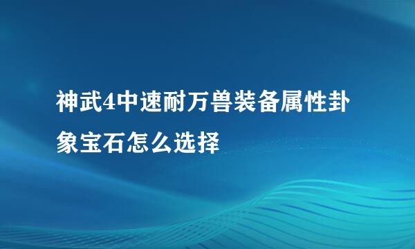 神武4中速耐万兽装备属性卦象宝石怎么选择