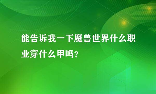 能告诉我一下魔兽世界什么职业穿什么甲吗？