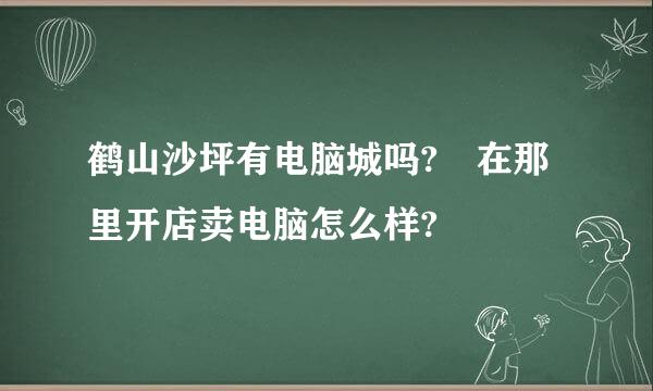 鹤山沙坪有电脑城吗? 在那里开店卖电脑怎么样?