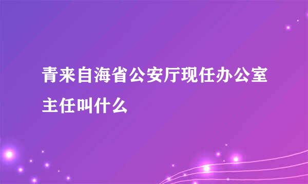 青来自海省公安厅现任办公室主任叫什么