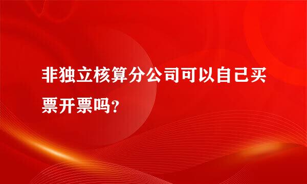 非独立核算分公司可以自己买票开票吗？