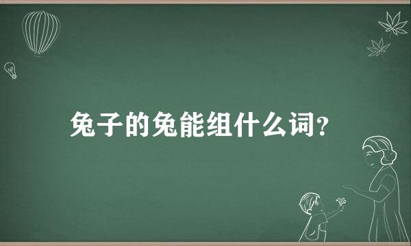 兔子的兔能组什么词？