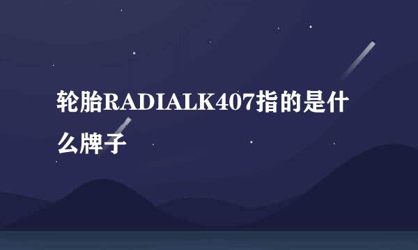 轮胎RADIALK407指的是什么牌子