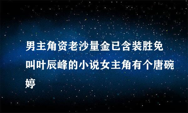 男主角资老沙量金已含装胜免叫叶辰峰的小说女主角有个唐碗婷