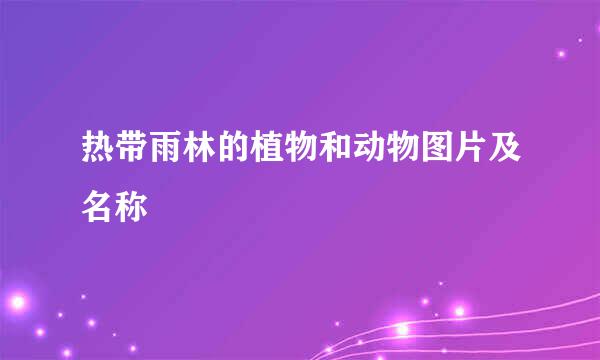 热带雨林的植物和动物图片及名称