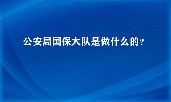 公安局国保大队是做什么的？