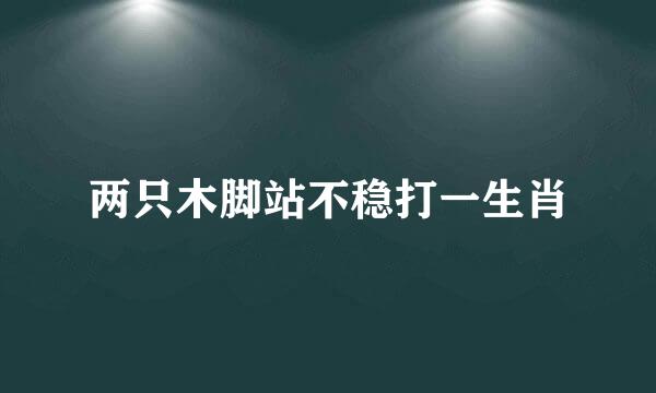 两只木脚站不稳打一生肖