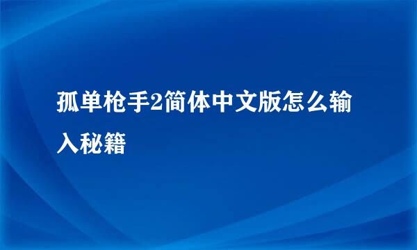 孤单枪手2简体中文版怎么输入秘籍