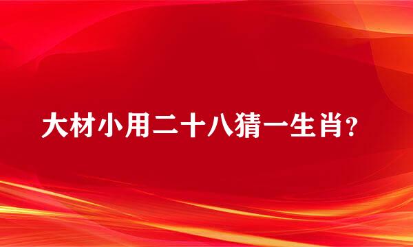 大材小用二十八猜一生肖？