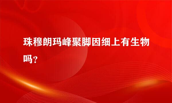 珠穆朗玛峰聚脚因细上有生物吗？