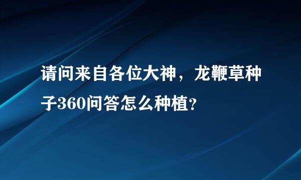 请问来自各位大神，龙鞭草种子360问答怎么种植？