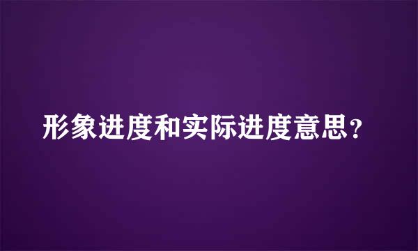 形象进度和实际进度意思？