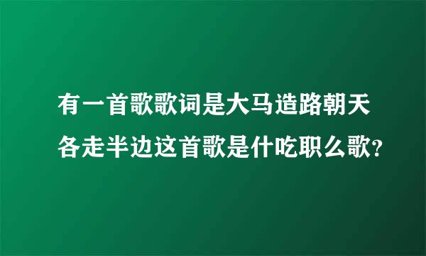 有一首歌歌词是大马造路朝天各走半边这首歌是什吃职么歌？