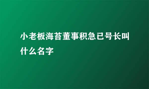 小老板海苔董事积急已号长叫什么名字