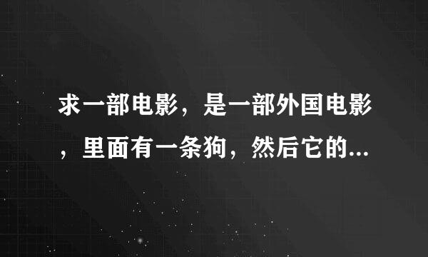 求一部电影，是一部外国电影，里面有一条狗，然后它的睾丸很大。