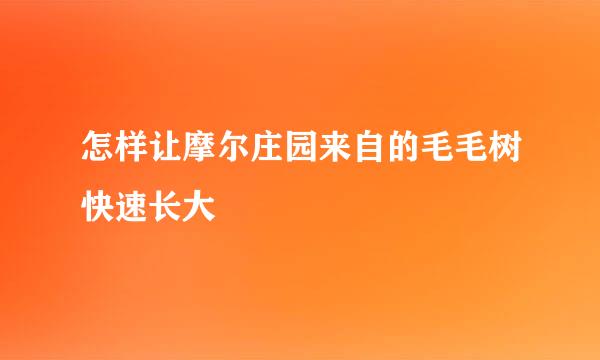 怎样让摩尔庄园来自的毛毛树快速长大