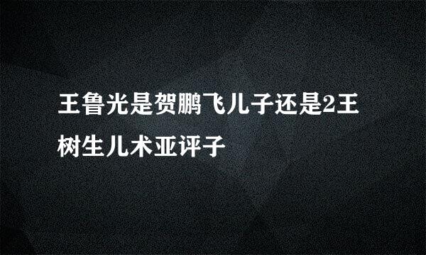 王鲁光是贺鹏飞儿子还是2王树生儿术亚评子