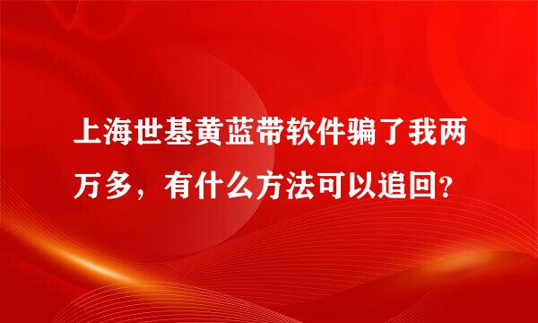 上海世基黄蓝带软件骗了我两万多，有什么方法可以追回？