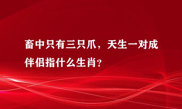 畜中只有三只爪，天生一对成伴侣指什么生肖？